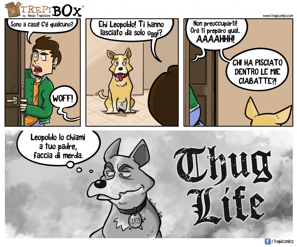 Trepibox_Trepi_Leo 1